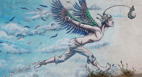 ronco pollo angel painting animal